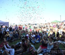 Crowd Shot of the Festival Crowd Shot of the Festival