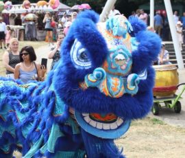 Kudos Combat Chinese Lions 3
